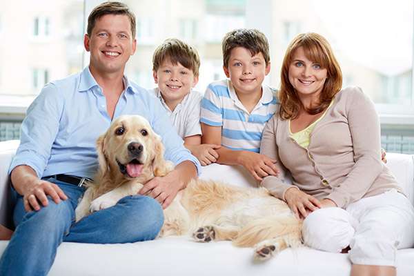 Why Choose One Family Dentist for Everyone in Your Family from Smiles Dental Care in Mountain View, CA
